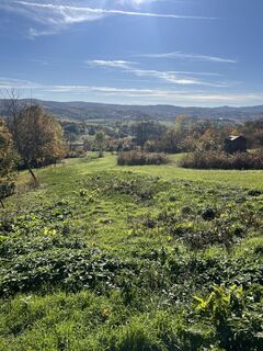 Fotografija s spletne strani Dagmar Angst na poti