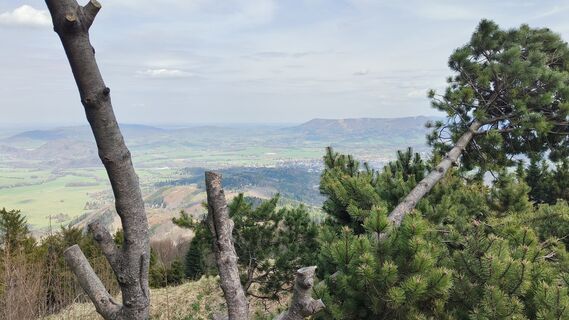 Photo de Čestmír Sivek le long du parcours
