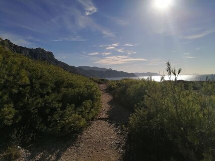 Photo de Matthias Keßler le long du parcours
