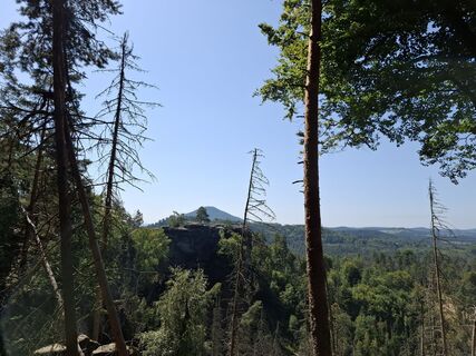 Fotografija s spletne strani nordbergschnecke na poti
