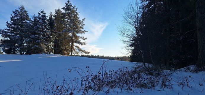Foto de Deutsch Margit a lo largo del recorrido