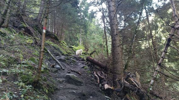 Foto von Günter Hopfinger entlang der Tour
