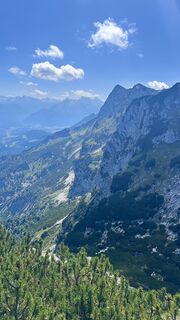 Photo de Mountain Cat ? ⛰️ le long du parcours