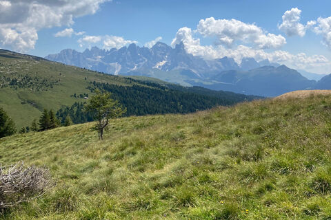 Alpe Lusia - Laghi di Lusia - Cima Bocche - ©Archivio S.i.f. Impianti Funiviari Lusia S.p.a.