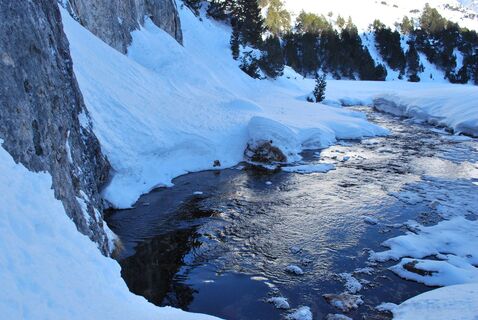 Alpe Pertusio