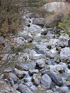 Fotografie z Sandra Stemplinger na trase