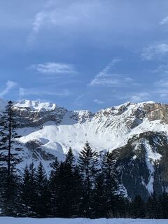 Fotografija s spletne strani Ursula Behr na poti