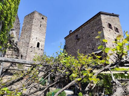 Foto von Markus Mantinger entlang der Tour