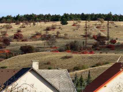 Fotografia z Szomi Balázs na trase