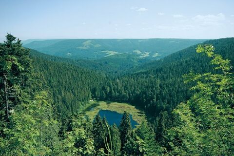 Huzenbacher Seeblick