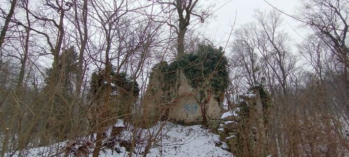 Fotografija s spletne strani Christine Fischer na poti
