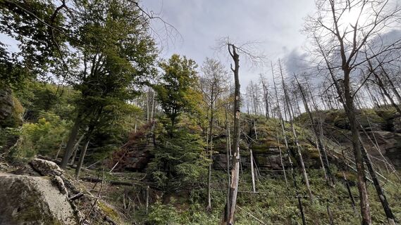 Fotografija s spletne strani Ma Wa na poti