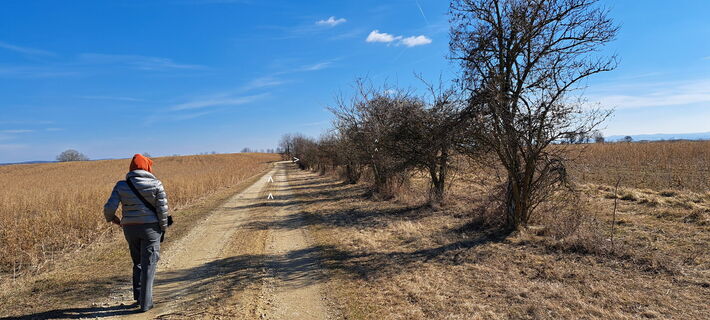 Am Weg zum Diebsstein