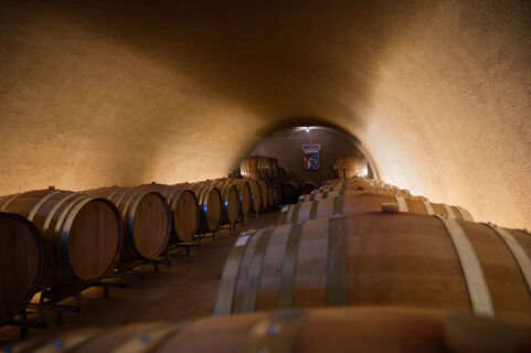 Besuch in der Hofkellerei des Fürsten von Liechtenstein