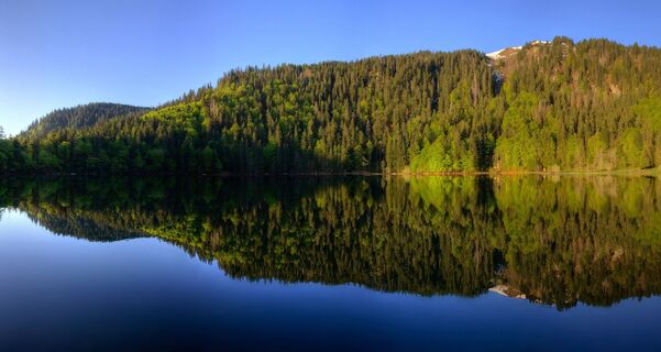 Feldsee