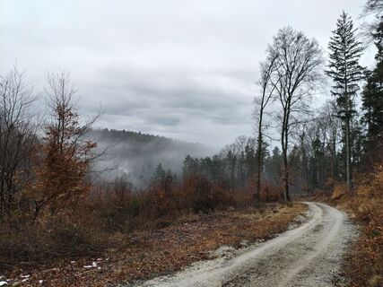 Fotografija s spletne strani Poschacher na poti