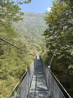 Photo de Koen De Wit le long du parcours