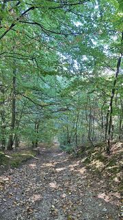 Photo de DraussenZuHause_66 le long du parcours