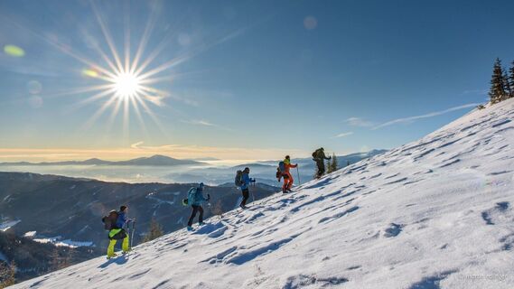 Der Gipfelhang des Rosenkogel im Aufstieg