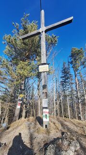 Foto von Regina Fleischmann entlang der Tour