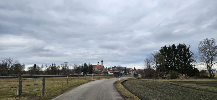 Zdjęcie z garrincha wzdłuż trasy