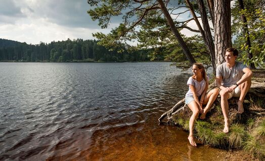 Edlesbergerteich bei Gutenbrunn
