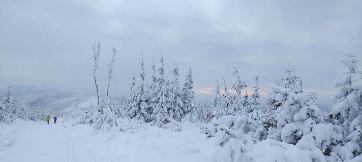 Foto de Sylwiasuchy76 a lo largo del recorrido