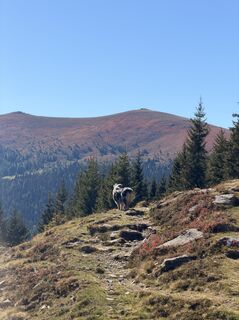 Foto von Daniela Eckhart entlang der Tour