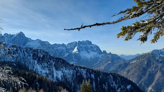 Foto från Josef Mikl under resans gång