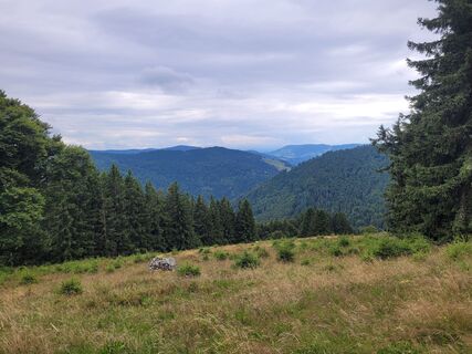 Zdjęcie z Liddeldi wzdłuż trasy