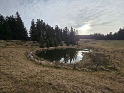 Foto da Zahrni78 lungo il tour