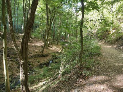 Foto de Làszló Visi a lo largo del recorrido