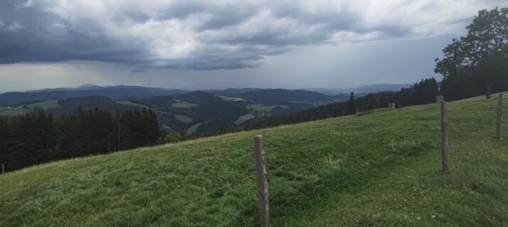 Foto von wolfkl entlang der Tour