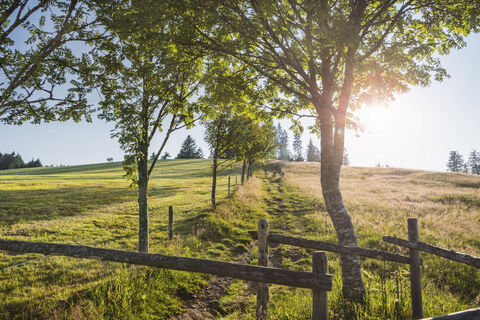 Wanderweg