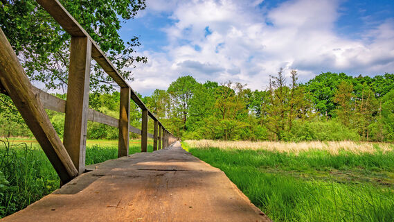 Der Bartelsdorfer Kirchsteg bei Trockenheit der Veerse