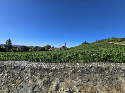 Photo de enipeus 65 le long du parcours