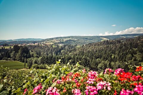 Blick nach Hochgrail von Gundersdorf