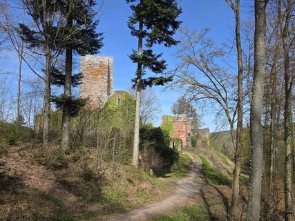 Foto von Eleonora Rieger entlang der Tour