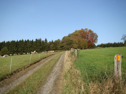 Bergischer Weg vor Eikamp
