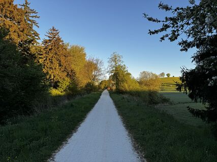 Fotografie z Schaali na trase