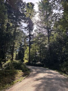 Foto von Heinz Sperl entlang der Tour