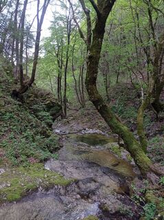 Foto de Aner a lo largo del recorrido