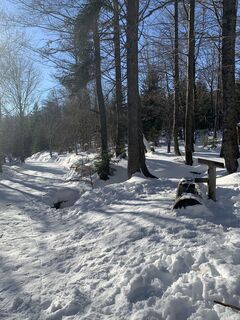 Fotografia z Stefan Lehner 2 na trase