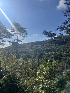 Фото с сайта Marlene Hronicek во время экскурсии