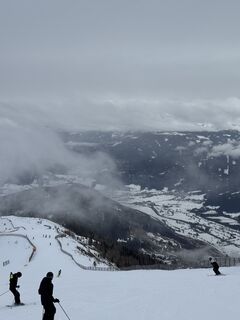 Fotografija s spletne strani Castor Dewit na poti