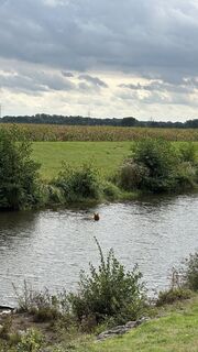 Zdjęcie z DraussenZuHause_66 wzdłuż trasy
