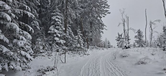 Photo de Helmut ingelsberger le long du parcours
