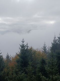 Fotografia z Daniel Kremiec na trase