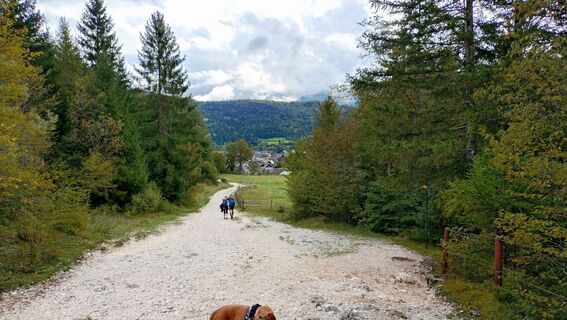 Foto von István Gábor 1 entlang der Tour