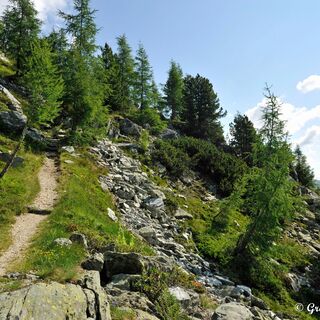 Ein steiler aber gut geh-barer Pfad führt uns zunächst bergan.